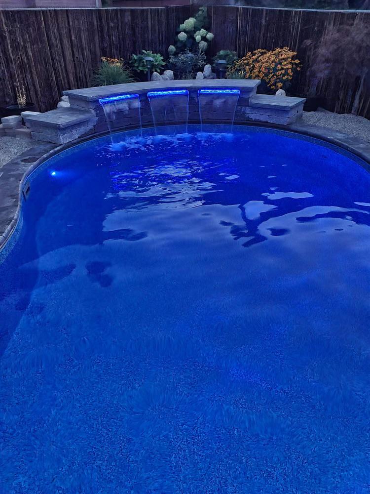 Freeform pool at dusk with LED lighting and bamboo privacy fence