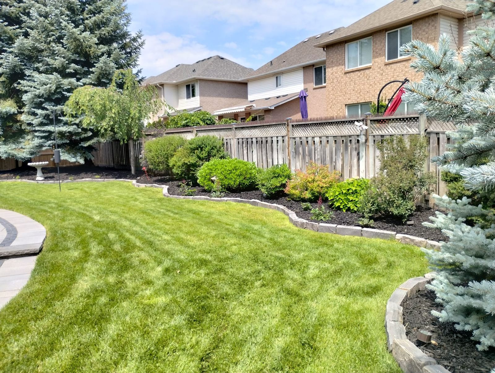Lush new sod lawn with mulched garden beds along a wood fence