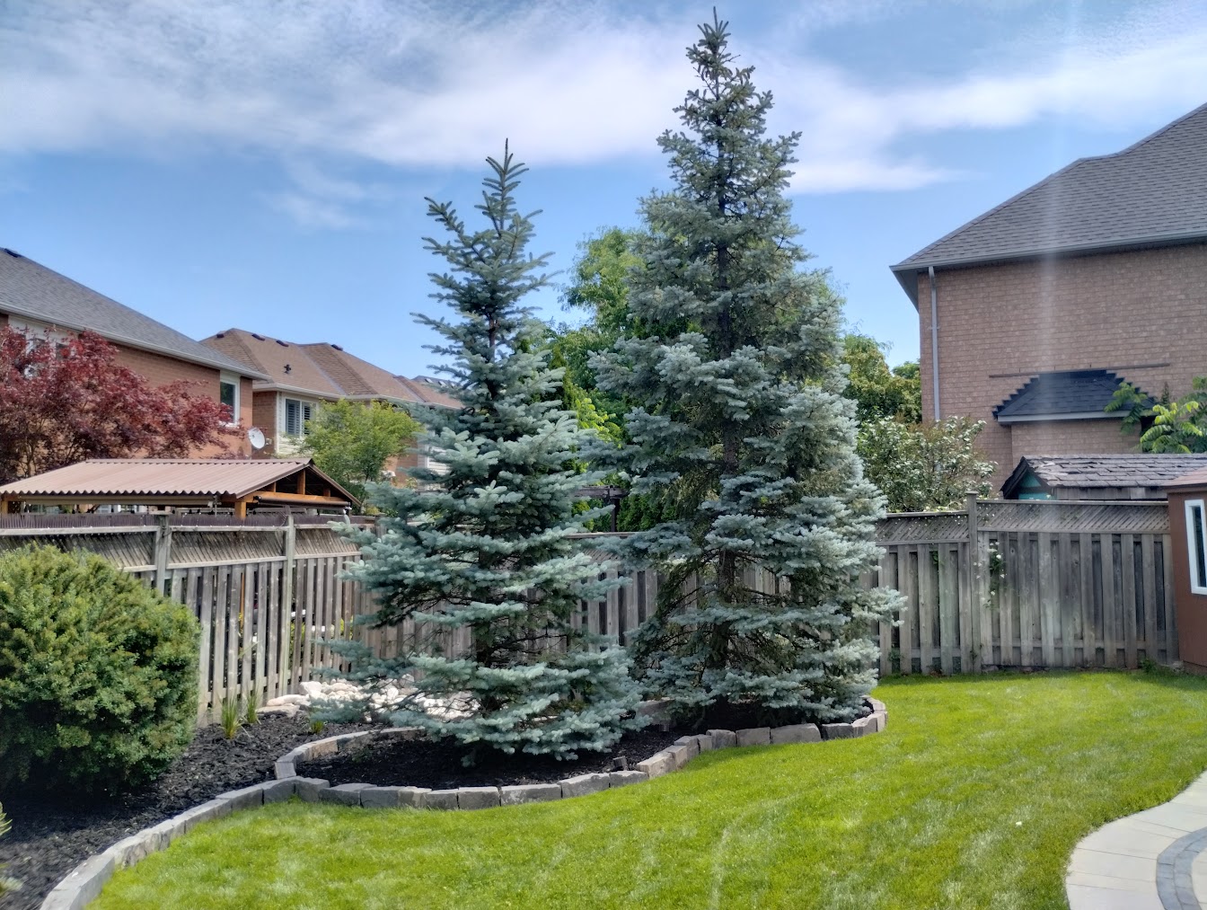 Sod and lawn project Seven Stones Ancaster Dundas